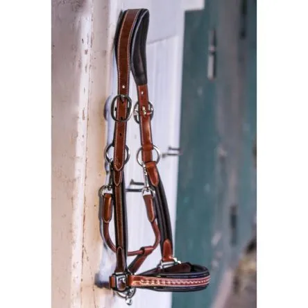 Offre Spciale Licol Pnlope Point Sellier - NOISETTE - COB/PUR-SANG