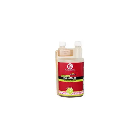 Acheter En Ligne PASKATONIC solution bidon 5 litres – 5L