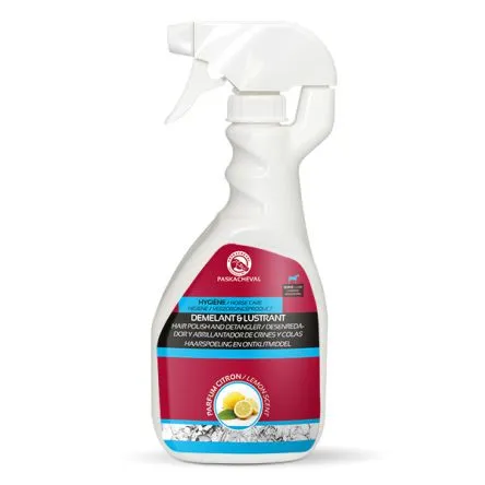 Commander Maintenant Dmlant Lustrant Spray 1l Paskacheval#