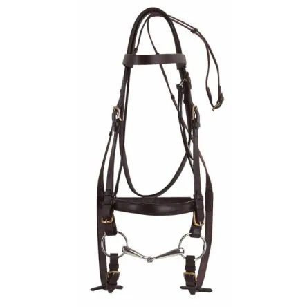 Bridon Norton Club Cheval De Trait – NOIR Offre Exclusive