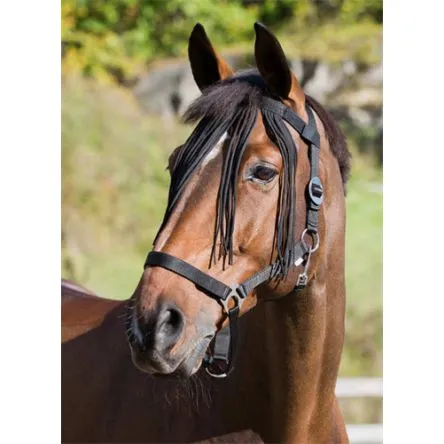 Promotion Frontal Chasse-Mouches Horze – NOIR – PONEY