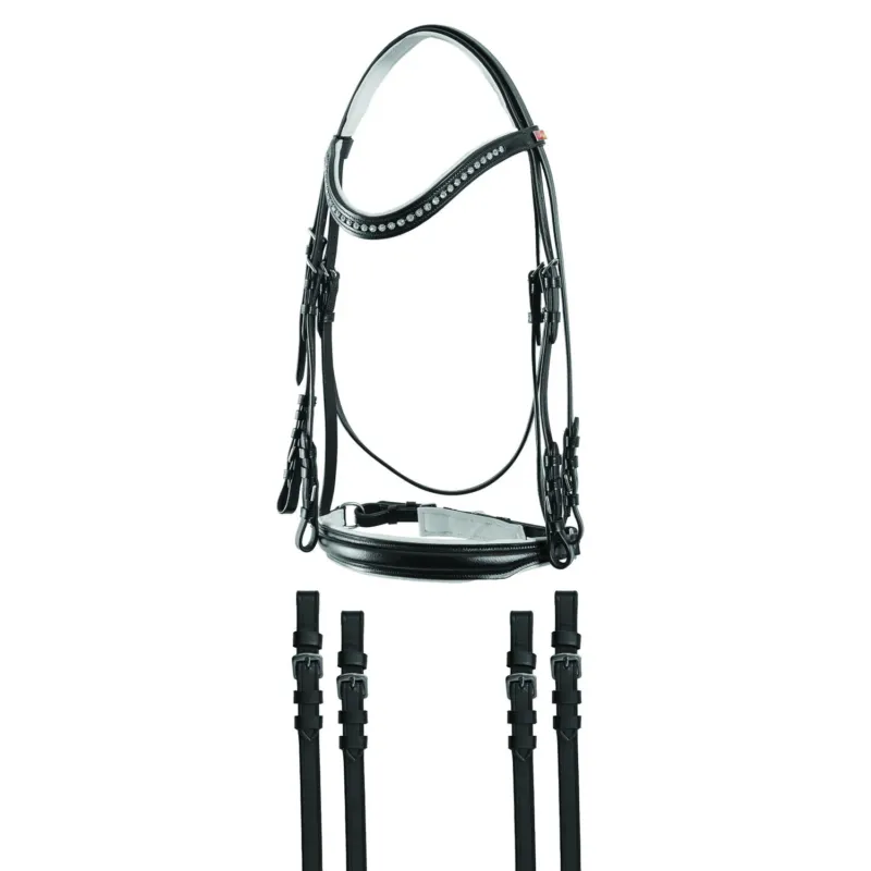 Livraison Express Bride de dressage en cuir avec pierres JM