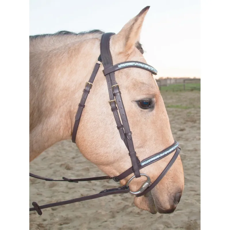 Authentique Bridon Guardi T de T Aqua ttire anatomique cuir Softy - Cheval - Noir