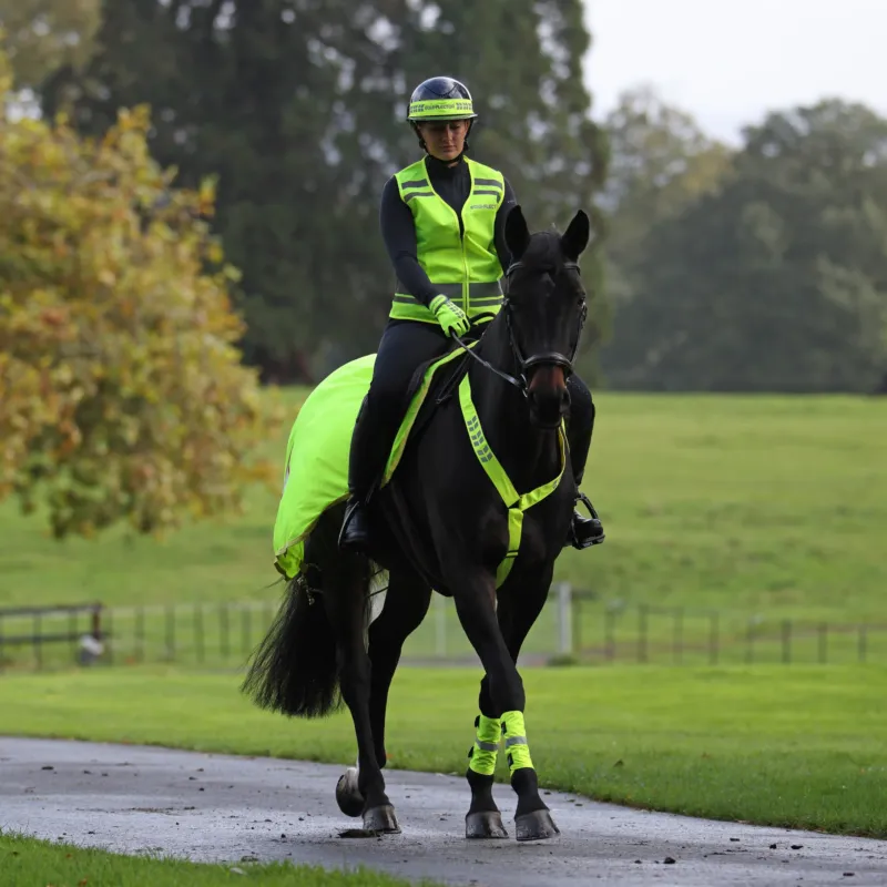 Gutres rflchissantes Equi-Flector Shires - Jaune Expdition Rapide