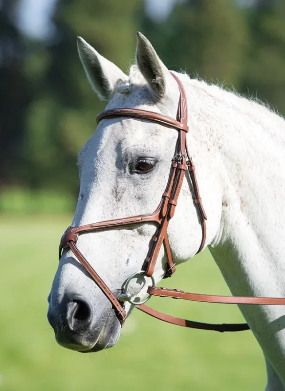 Bridon Avignon Grackle Shires - Poney - Chne Expdi Aujourdhui