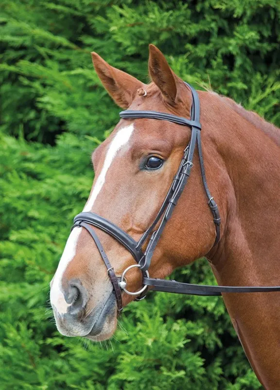 Commande En Gros Bridon Comfort Fit Aviemore Shires – Cheval – Havane