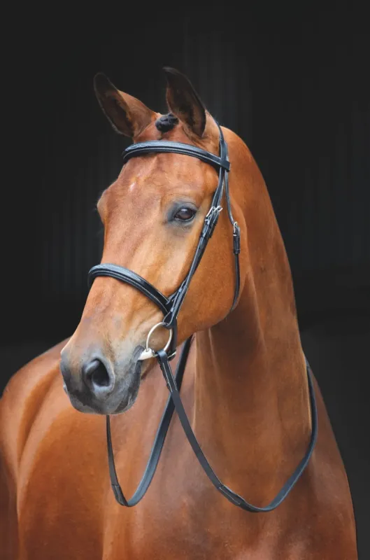 Bon March Bridon Fairford Salisbury Shires – Poney – Noir