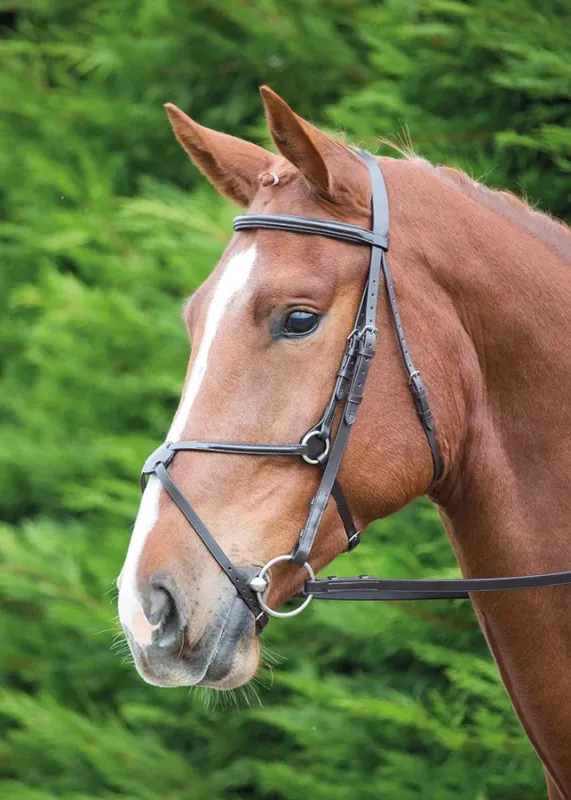 Nouveaut Bridon mexicain Aviemore Shires - Cheval - Noir