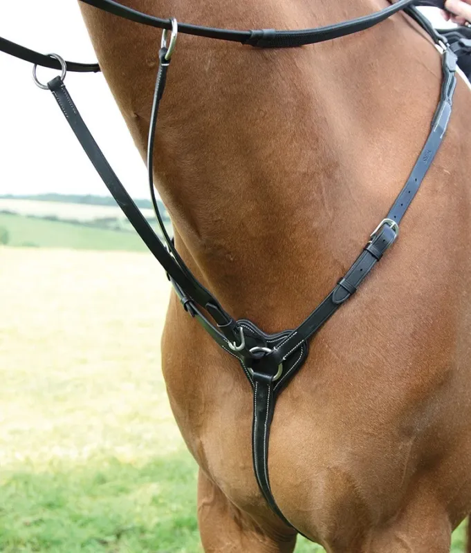 Collier de chasse 3 points Salisbury Shires - Poney - Noir Acheter Direct