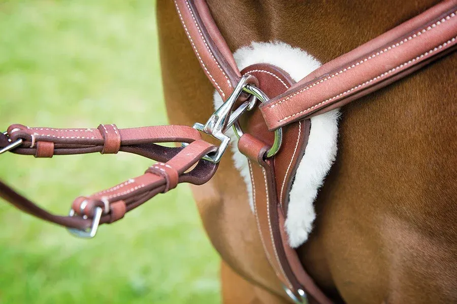 Petit Prix Collier de chasse 5 points Avignon Shires - Poney - Chne