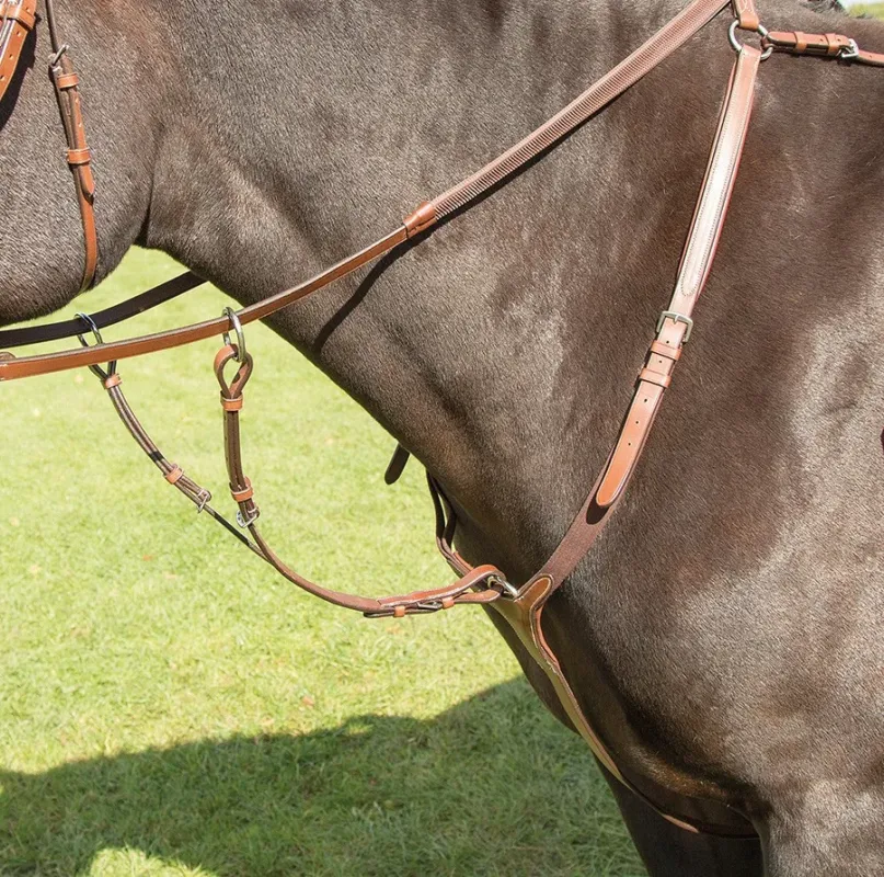 Offre Spciale Collier de chasse Avignon Shires - Cheval - Chne