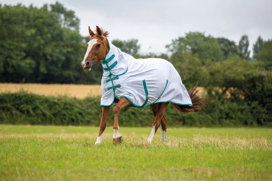 Acheter Direct Couverture combo anti-mouches Tempest Original Shires – 95 cm – Blanc