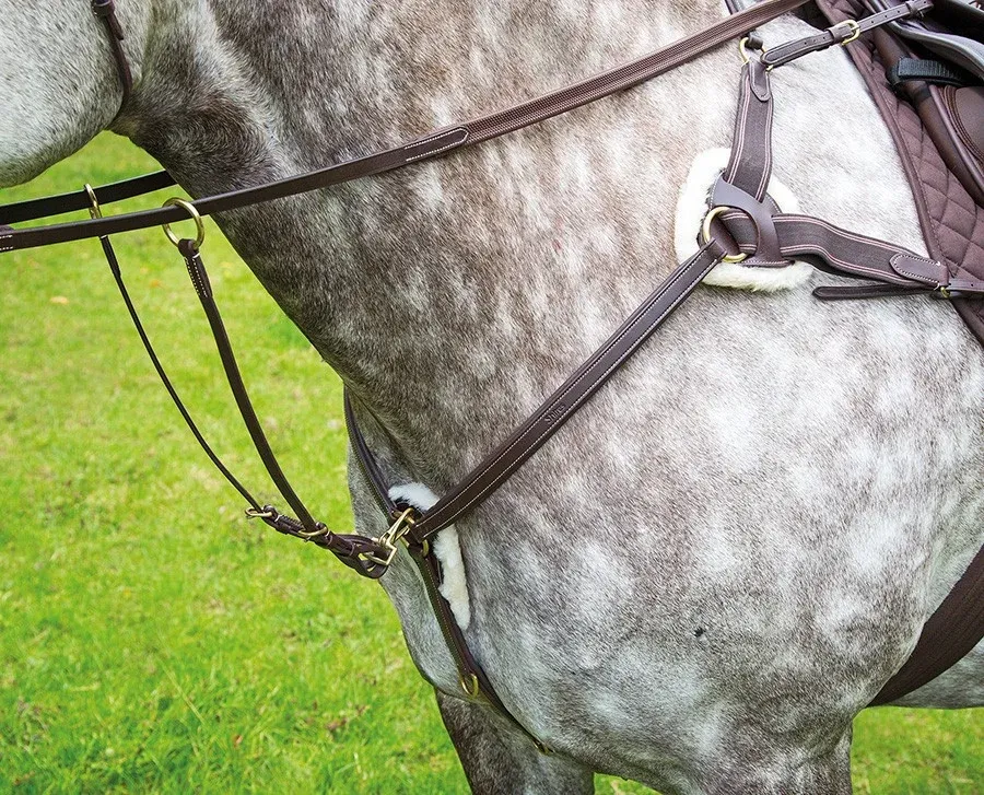 Nouveaut Collier de chasse 5 points Salisbury Shires - Cob - Havane