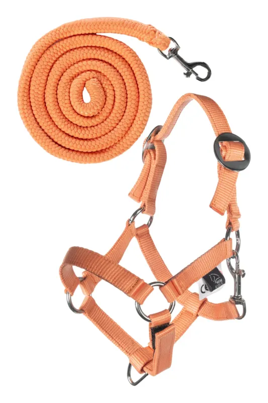 Licol et longe HKM Hobby Horsing Basic - Orange Solde
