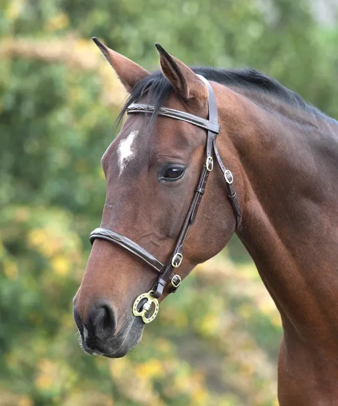 Bridon avec surpiqres Fancy Blenheim Shires - Poney - Havane Authentique
