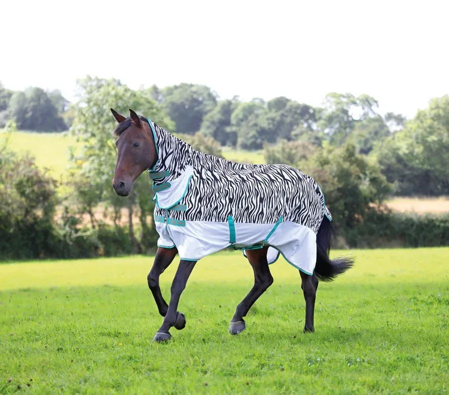 Couverture combo anti-mouches Tempest Original Zebra Shires - 4'3" / 100 cm - Zbre Offre Spciale