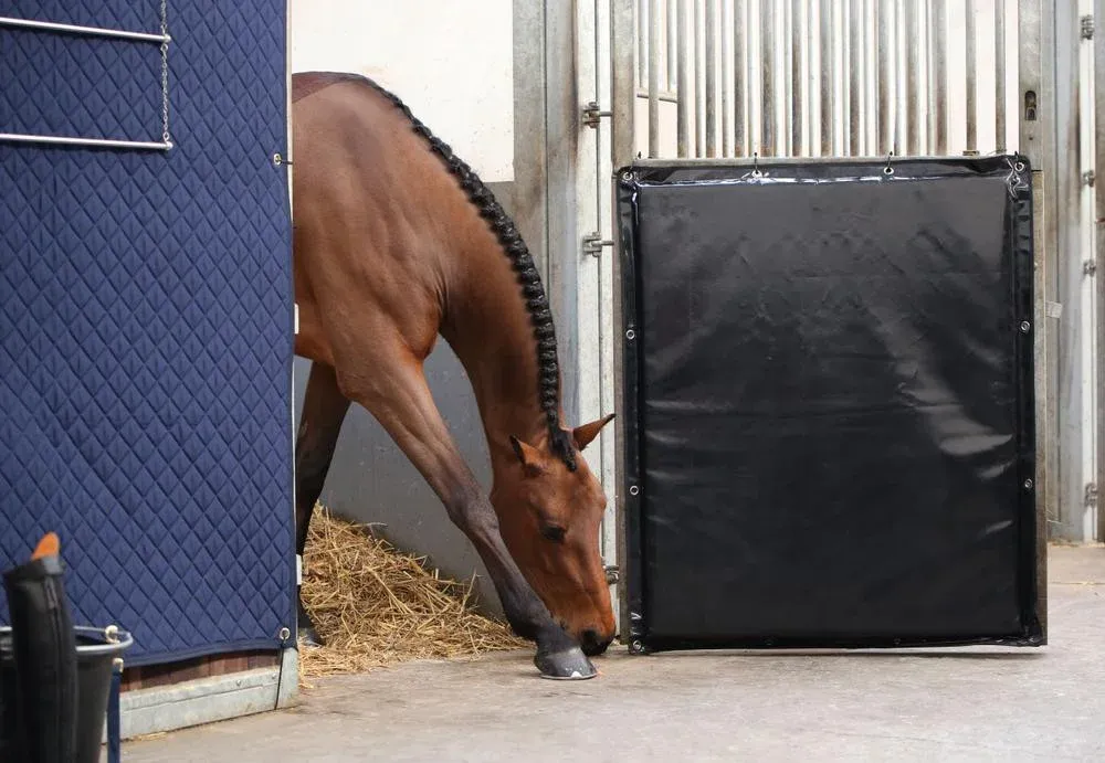 Populaire Kick Pad Kentucky - 200 x 120 cm - Noir