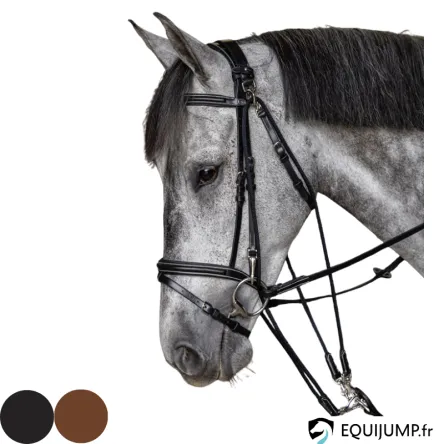Solde Gogue HFI – COB/PUR-SANG – BRUN