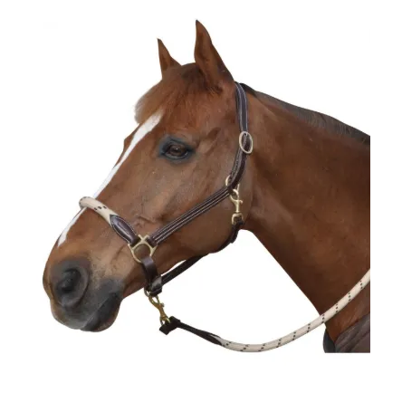 Achetez Aujourdhui Licol Corde CHETAK – PONEY – Cuir marron/ Corde Beige-Marron