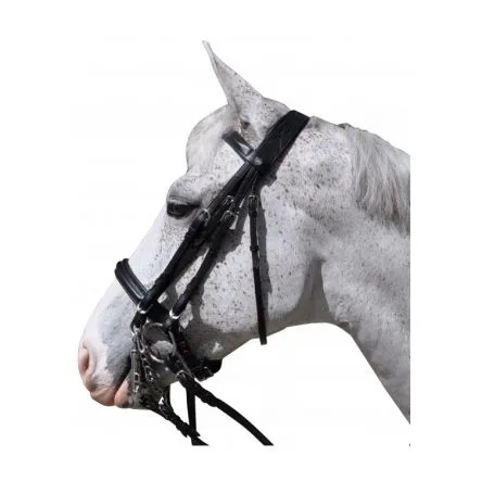 Meilleur Prix Bride Hagen Flags and Cup - COB/PUR-SANG - BRUN