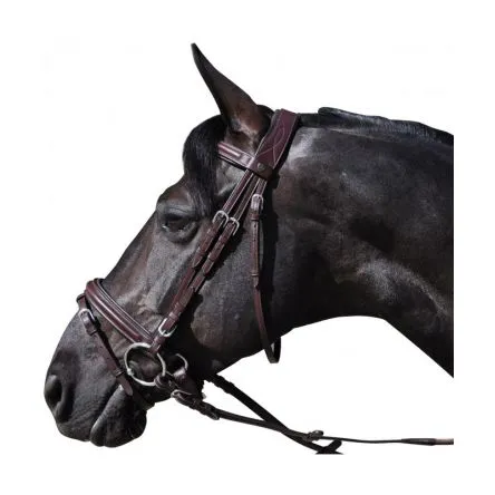 Bridon Hickstead Flags and Cup – PONEY – NOIR Authentique