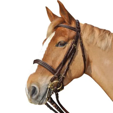 Bride de Dressage CHETAK euro – COB/PUR-SANG – BRUN Dernier Modle