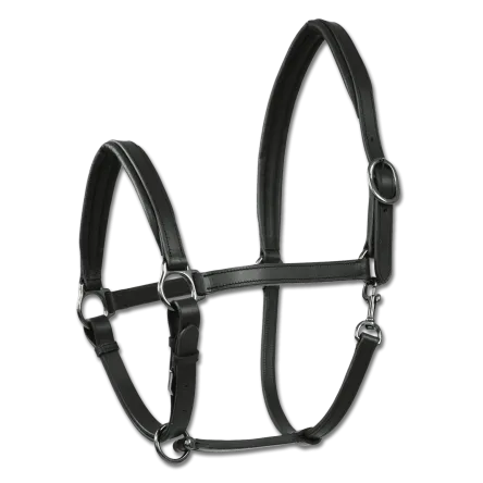 Licol Finesse II X line Waldhausen - CHEVAL/FULL - BRUN Satisfait Ou Rembours