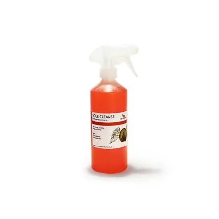 Seulement Aujourdhui Sole Cleanse Spray 500ml#