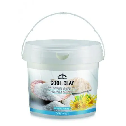 Nouvel Arrivage Cool Clay Argile 2.5kg Veredus#