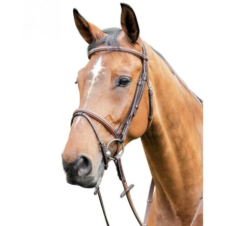 Bridon prestige E87 – COB/PUR-SANG – BRUN Vente Directe