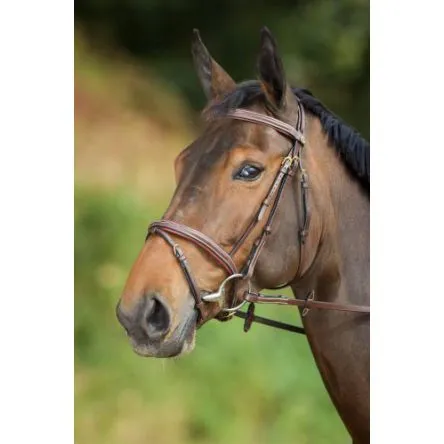 Must-Have Bridon Comfort HFI - PONEY - BRUN