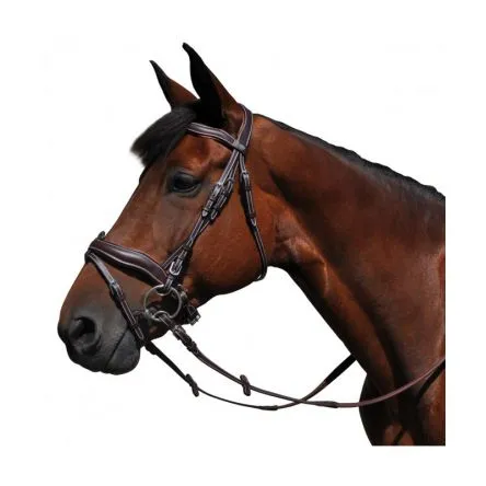 Bridon Copenhague Flags and cup – PONEY – NOIR Jusqu puisement Des Stocks