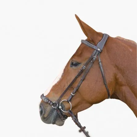 Bridon Carrera Lami-Cell – CHEVAL/FULL – NOIR Commander Maintenant