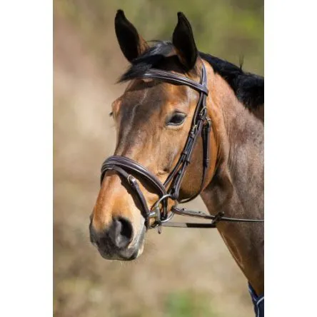 Bridon Elegant HFI – PONEY – BRUN Vente Flash