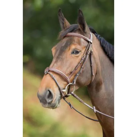 Bridon Anatomic HFI – COB/PUR-SANG – NOIR Prix Rduit