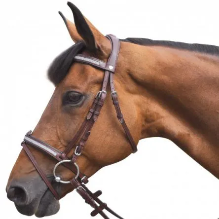 Soldes Bridon kitsi Flags and cup - PONEY - NOIR