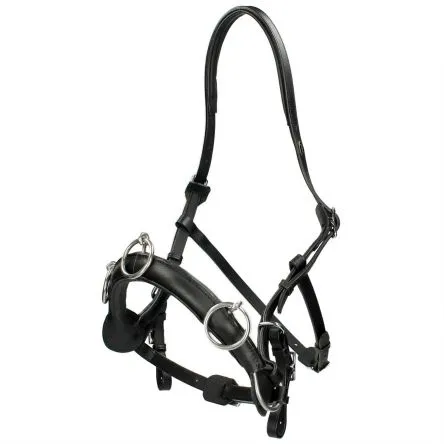 Meilleure Vente Cavecon Keto FRA – COB/PUR-SANG – BRUN