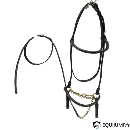 Soldes Licol De Prsentation Tattini Cuir Noir/Bouclerie Dor – COB/PUR-SANG – BRUN