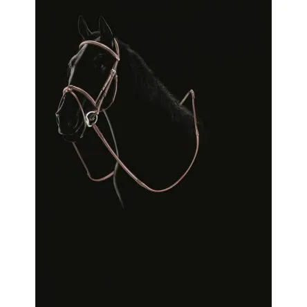 Bridon Equiline avec Systeme Elevator – COB/PUR-SANG – BRUN Vente Directe
