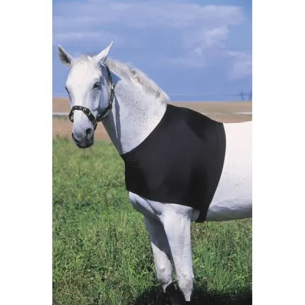 Achetez Aujourdhui Protection d&rsquo;paule EQUITHME – NOIR – XFULL/TRAIT