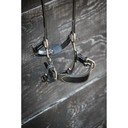 Muserolle Hackamore Cuir Jump In - CHEVAL/FULL - HAVANE Pas Cher