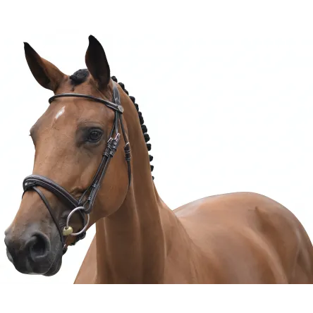 Must-Have Bridon Week Wednesday Muserolle Combine Jump'in - CHEVAL/FULL - HAVANE