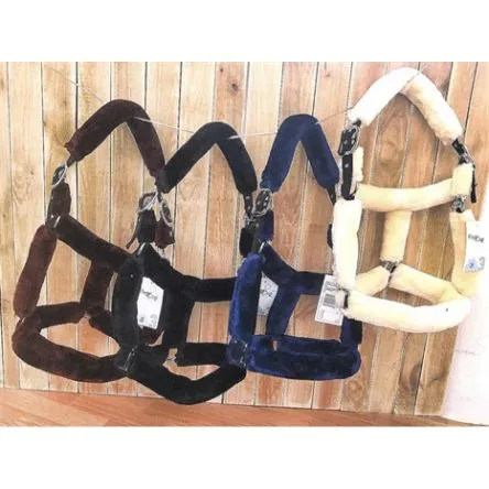 Vente Flash Licol de transport Flags and cup – NOIR – COB/PUR-SANG
