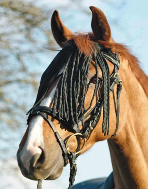 Bon March Frontal chasse-mouche 1er prix
