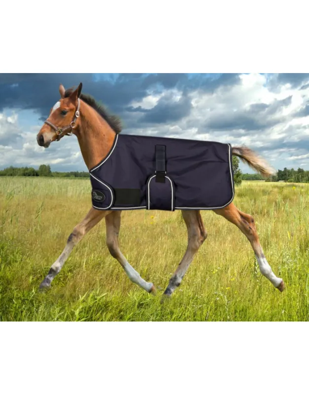 Couverture impermable 600D 200g pour poulain Newborn HARRY'S HORSE Commander Vite