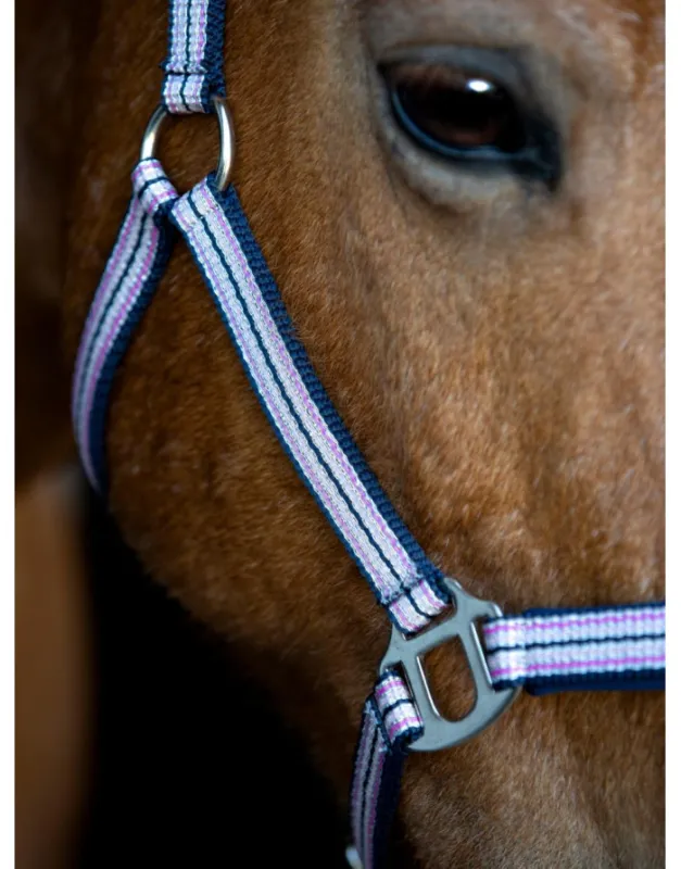 Licol scintillant Mascha HORSE GUARD Prix Rduit