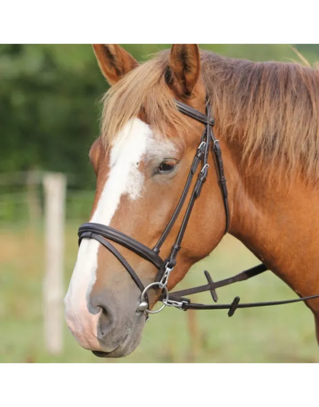 Bridon Protanner Cheval de Trait Rduction