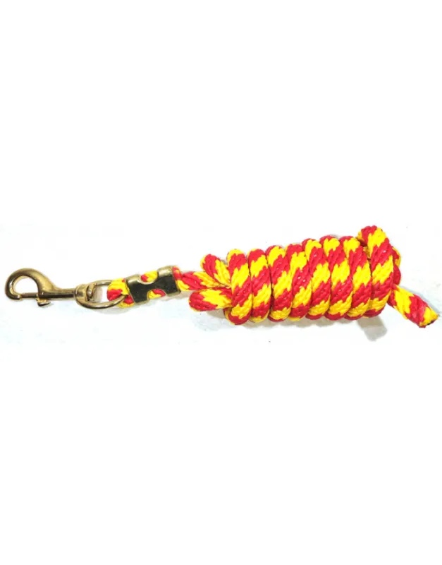 Achetez Aujourdhui Longe d&rsquo;attache en nylon – Big – 2,45 m