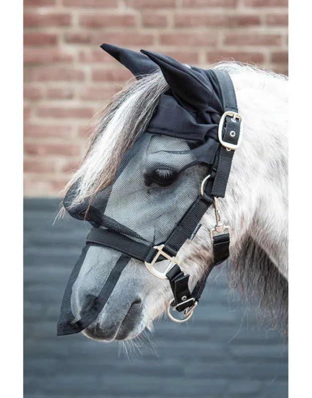 Nouveaut Licol avec protection anti-mouche intgr HARRY'S HORSE