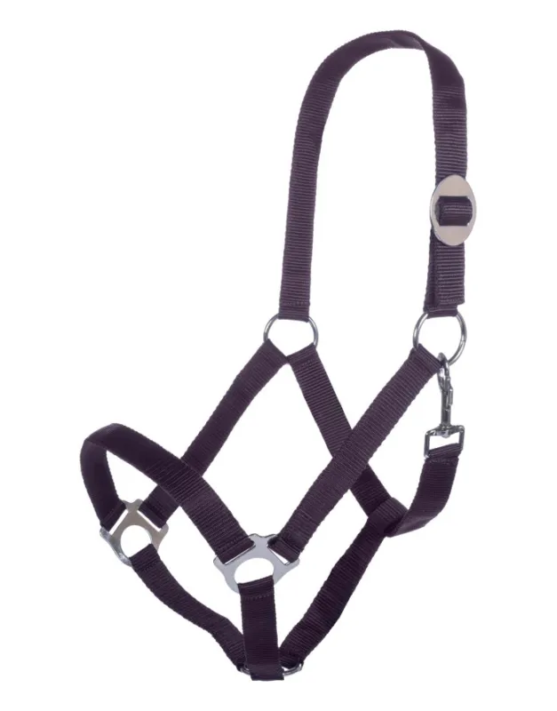 Nouvelle Collection Licol Stars Economy HKM